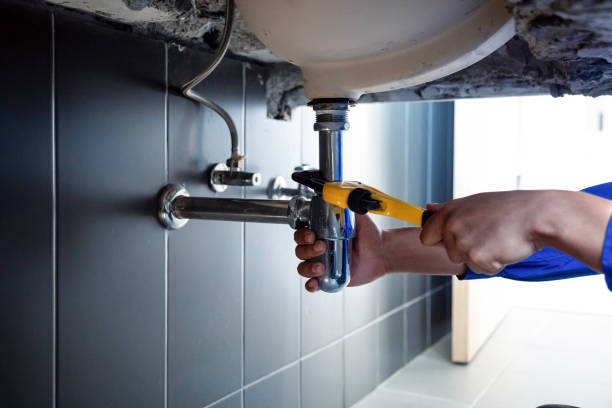 Best Green Plumbing Solutions and Water Conservation  in Round Lake Heights, IL